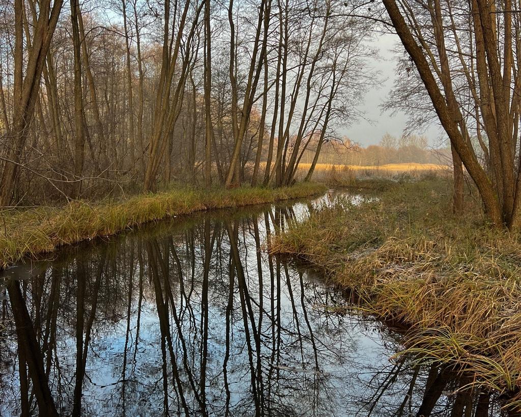 Słodko czy śmierdząco? 