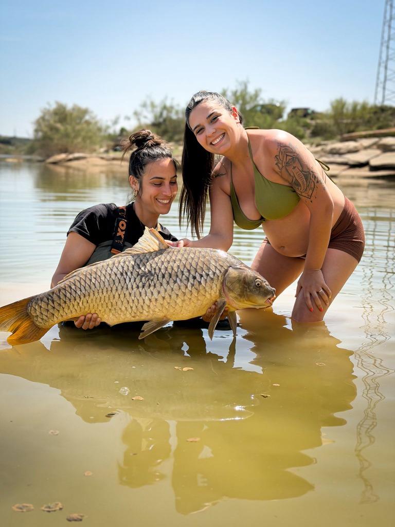 EBRO Y NUEVA ETAPA