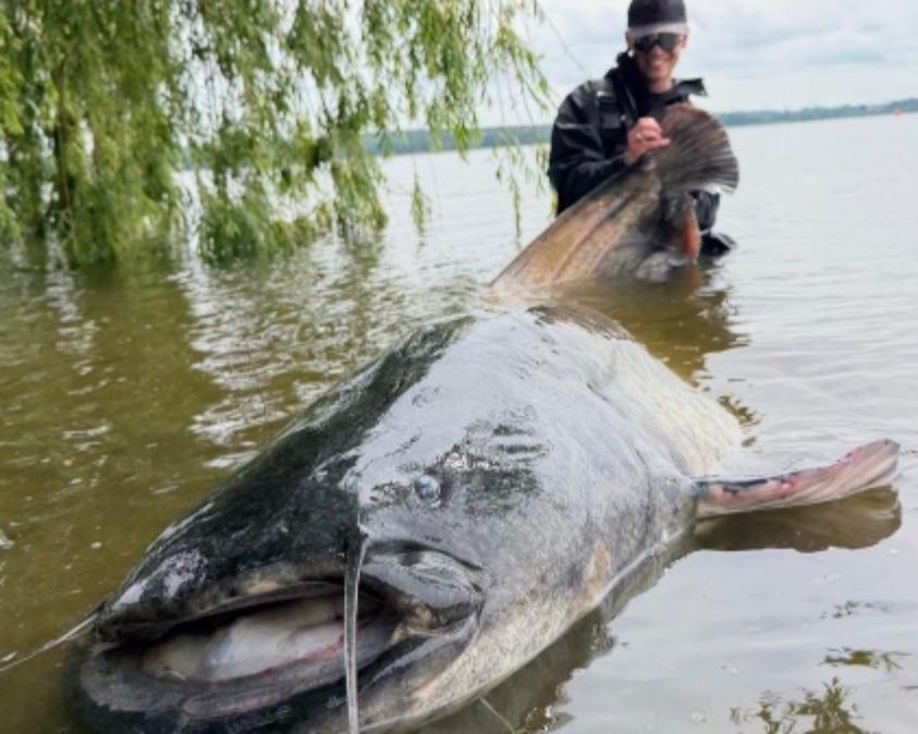 Jakub Holubec - 274 cm monster catfish from Poland