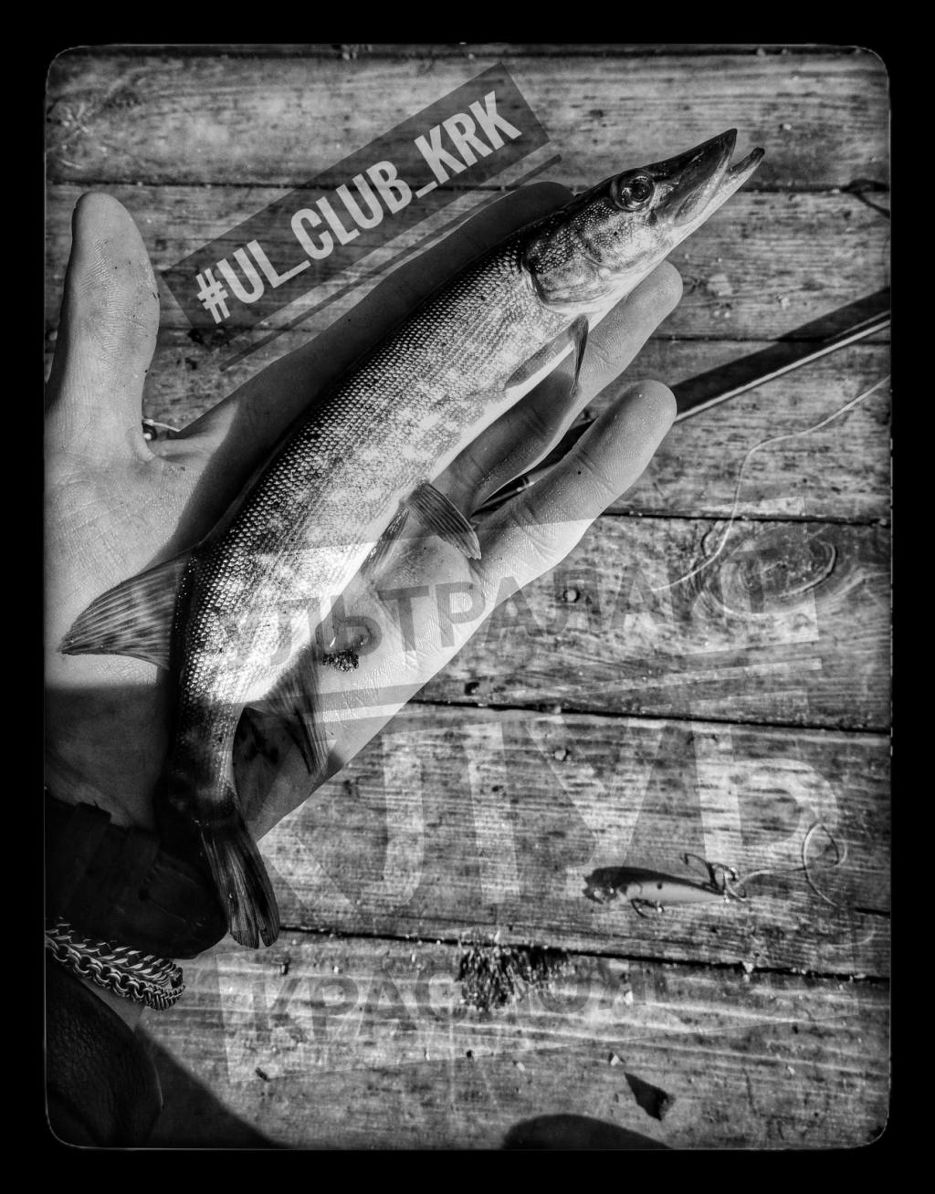 #ОСЕННИЙМИКРОДЖИГ