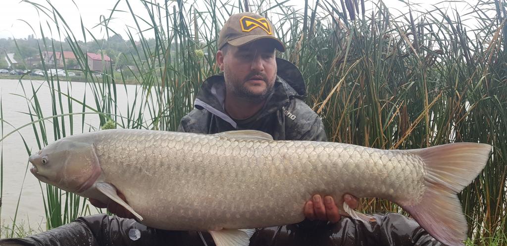 Crapi mari,ploaie indelungata!