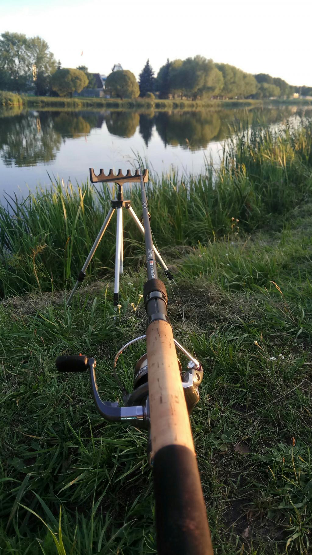 Городская рыбалка