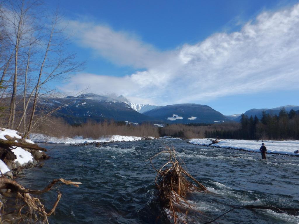 Únor bílý, tahy sílí. ...