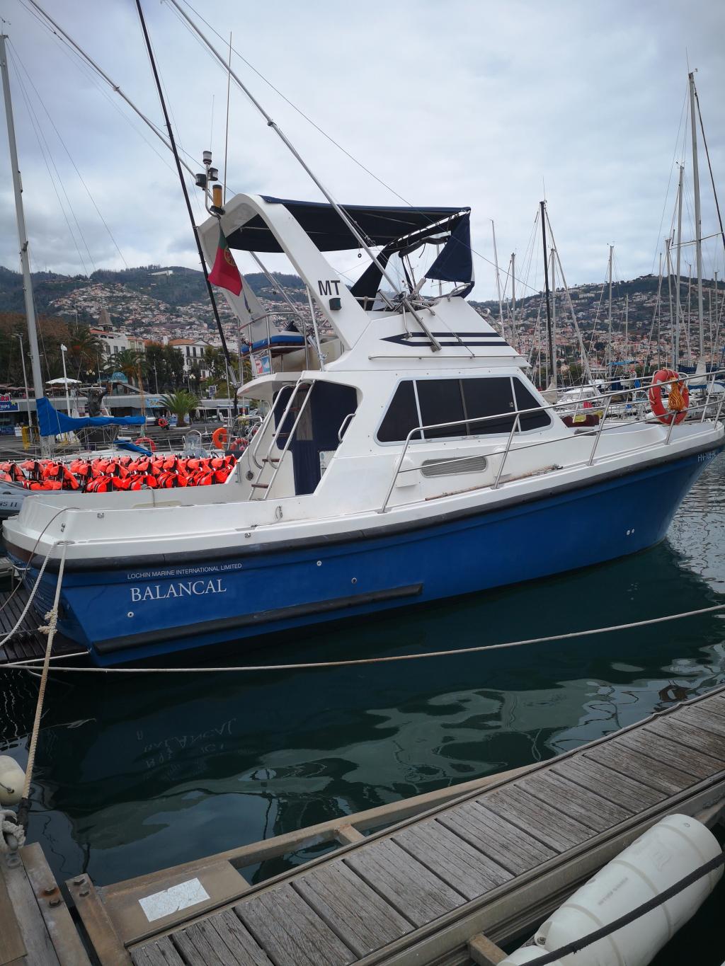 Balancal Madeira Marlin