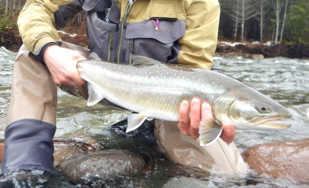 Březen... tisíce hodů!