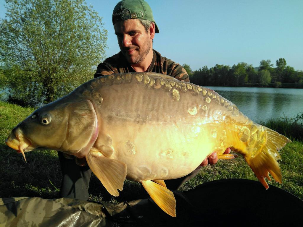 La vida del carpfishing