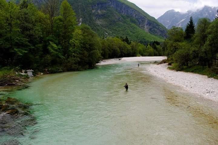 Flyfishing in Slovenia