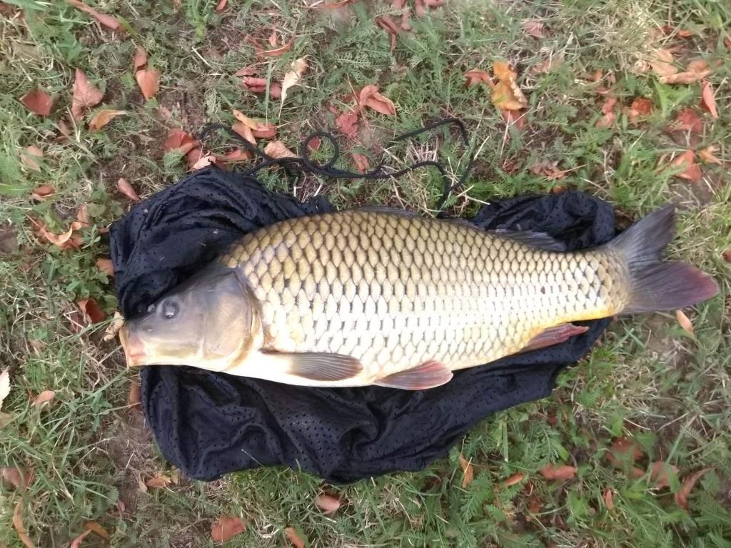 Fishing on Sweet water