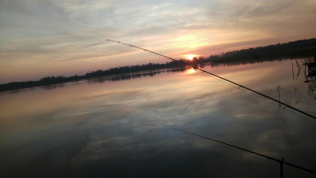 Осеняя рыбалка с пикером