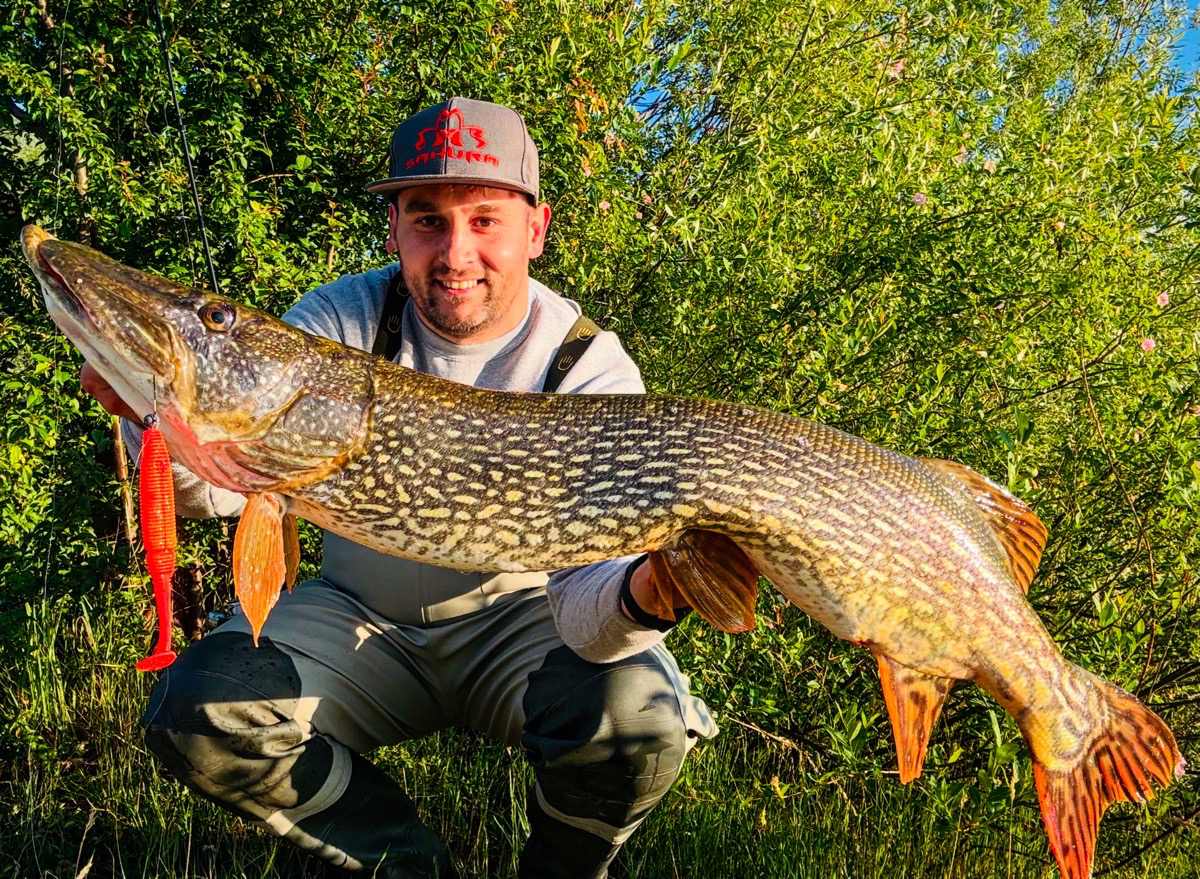 💥Pike game💥 Tento veľký 🐊neodolal SLIT SHAD EVU vo veľkosti 17,5cm