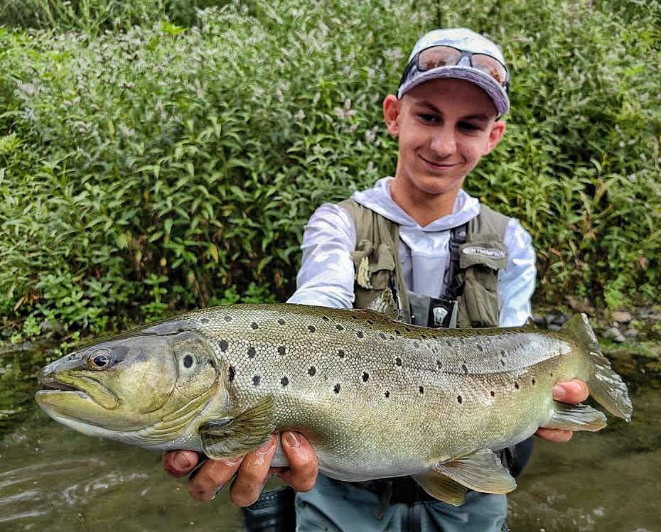 Monster Brown Trout 🏆