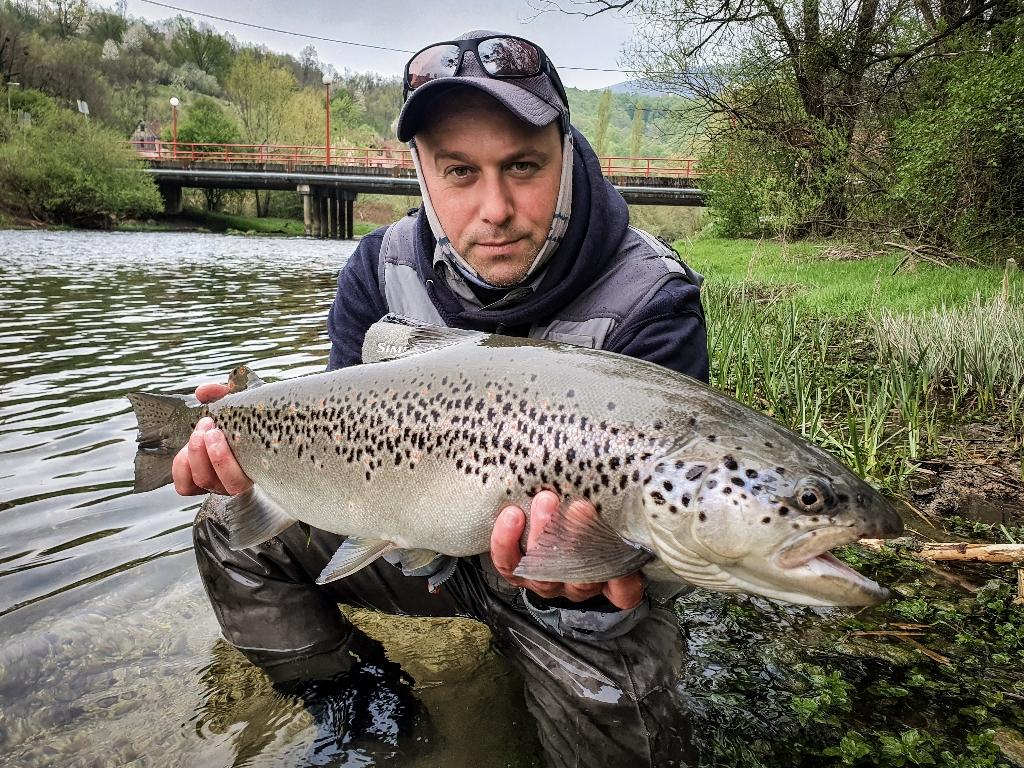 Brownie from River Ribnik