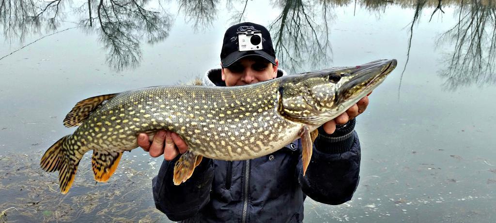 Tomislav Segedi - Segi