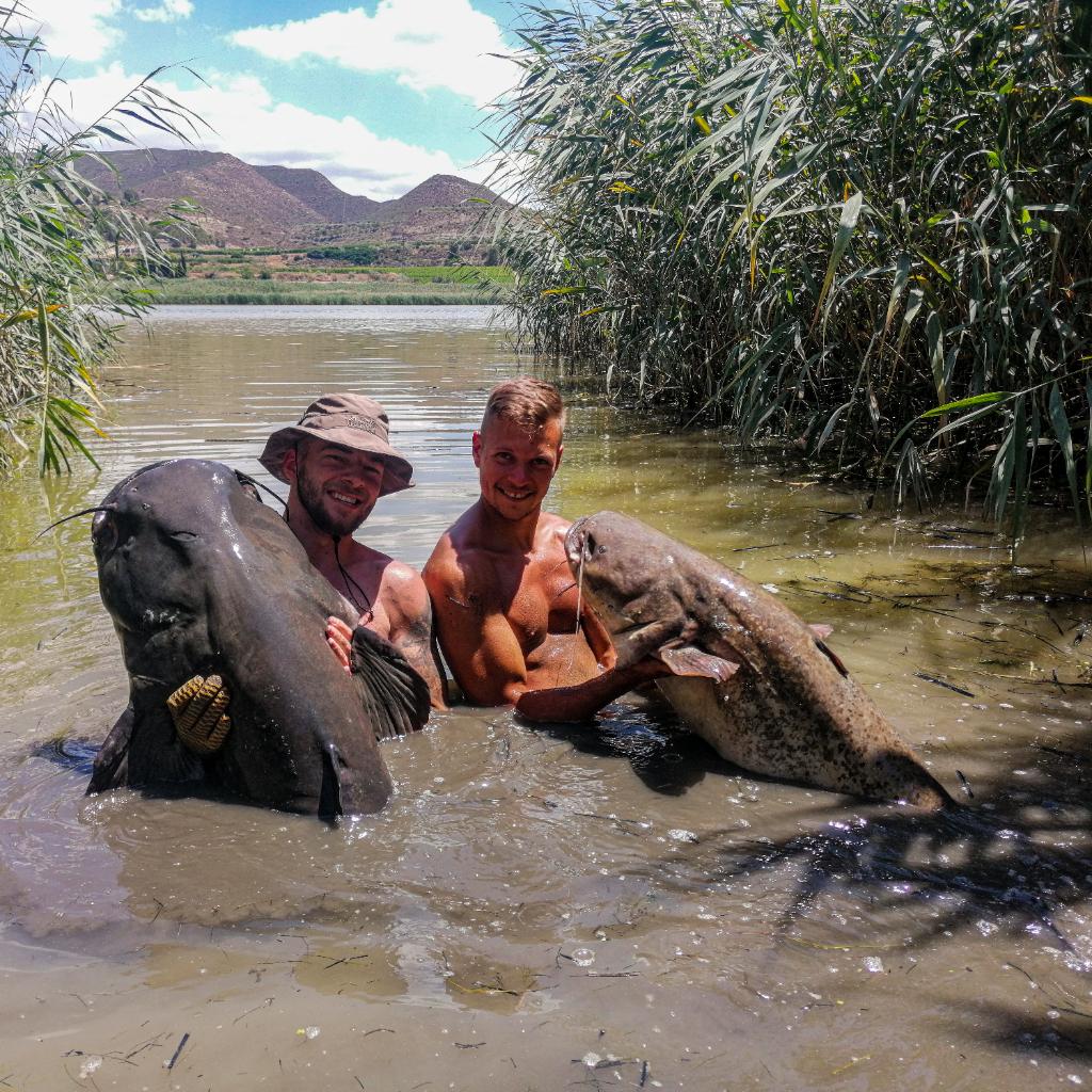 Jednodniowa wyprawa na Ebro, spinning lub vertical
