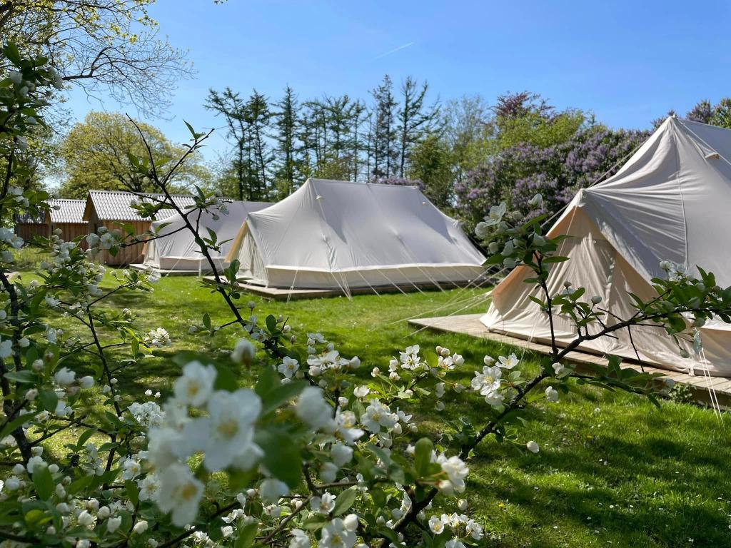 Falsled Strand Camping