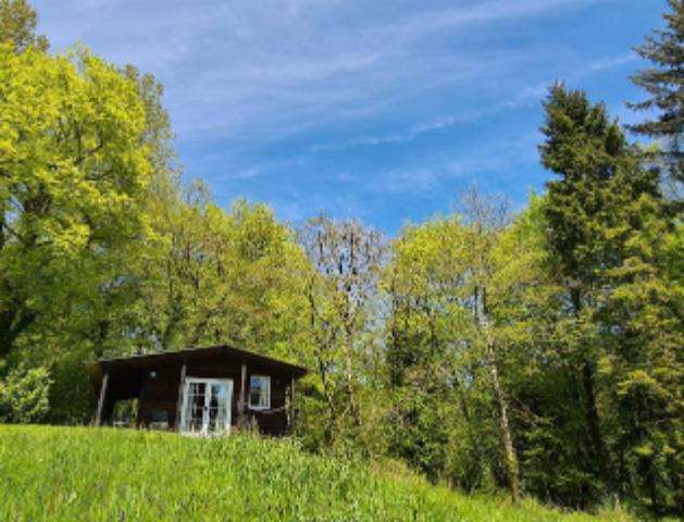 Hollies Trout Farm and Fishery