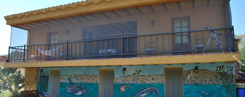 On The Ebro Carp & Catfishing Holidays