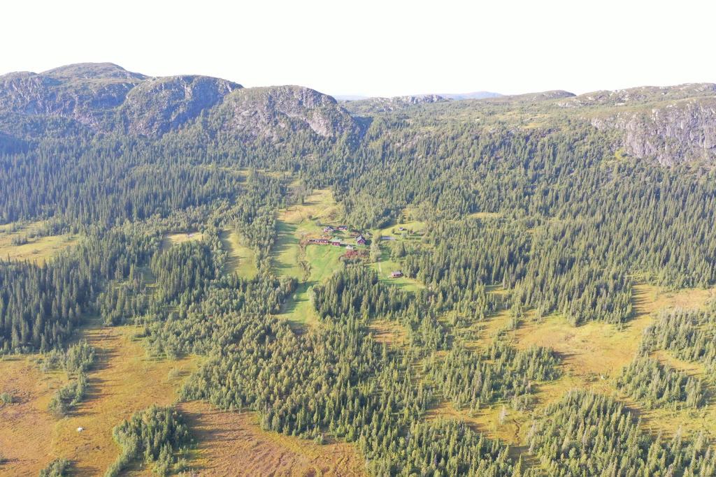 Almdalens Fjällgård