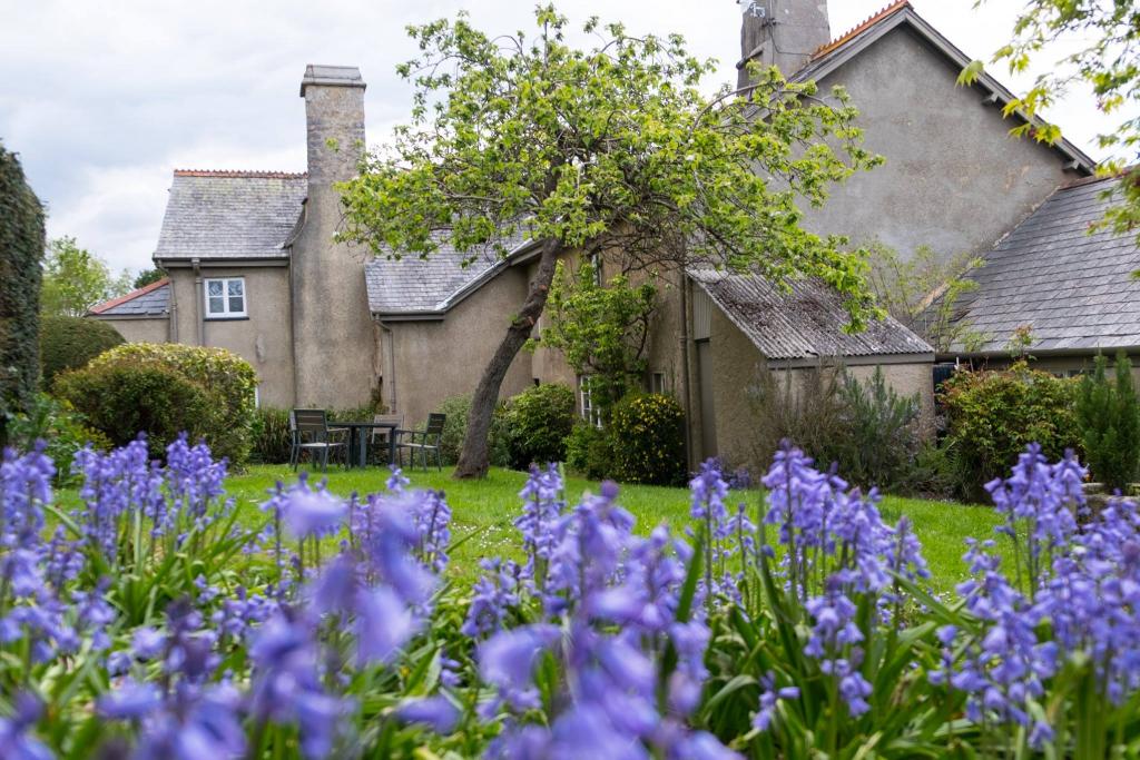 Twelve Oaks Holiday Cottages