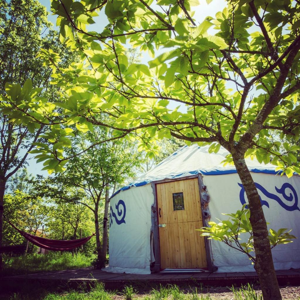 Plush Tents Yurt Village