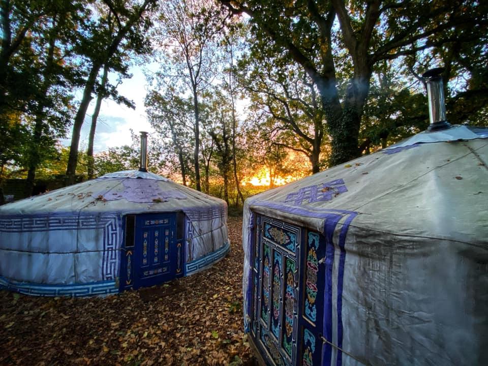 Forest Yurts