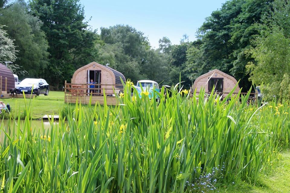 Springwood Fisheries