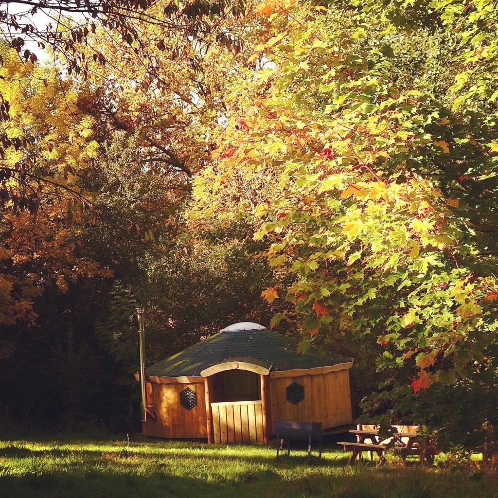 Strawberry Skys Yurts