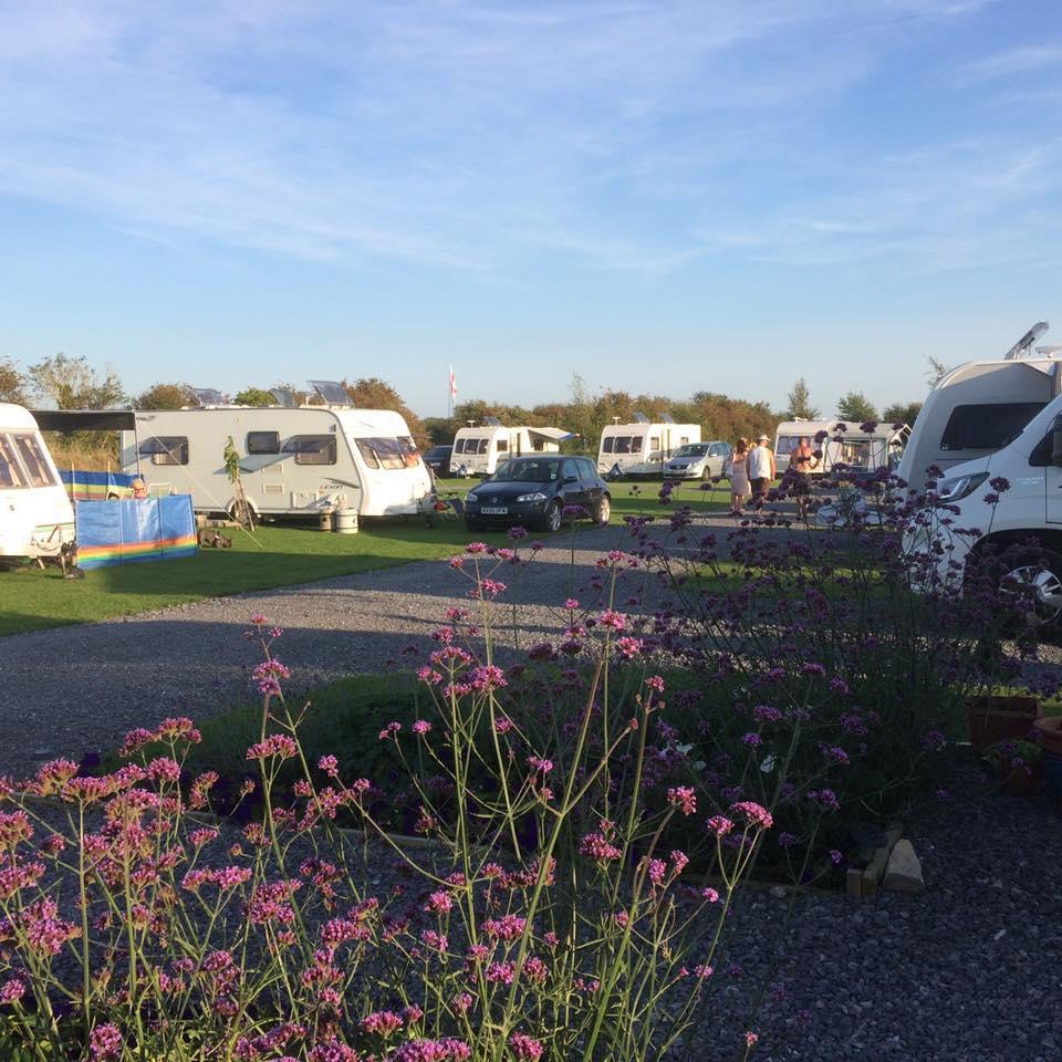 Withy Water Caravan and Camping Park