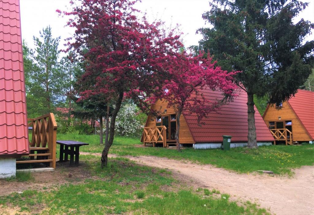 Ośrodek Wczasowy Piecki