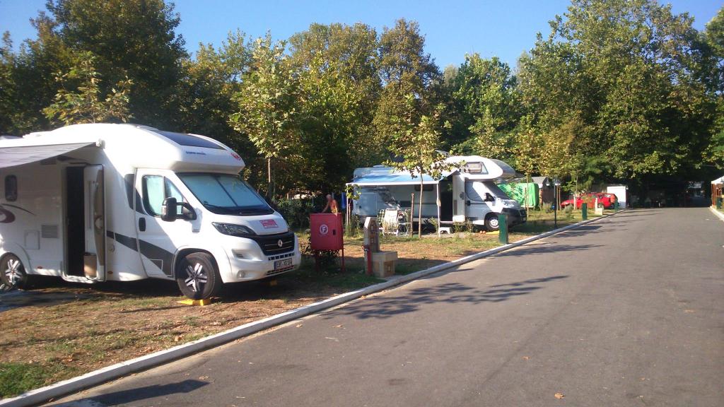 Camping Arion