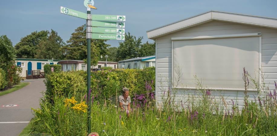 Camping de Zwinhoeve