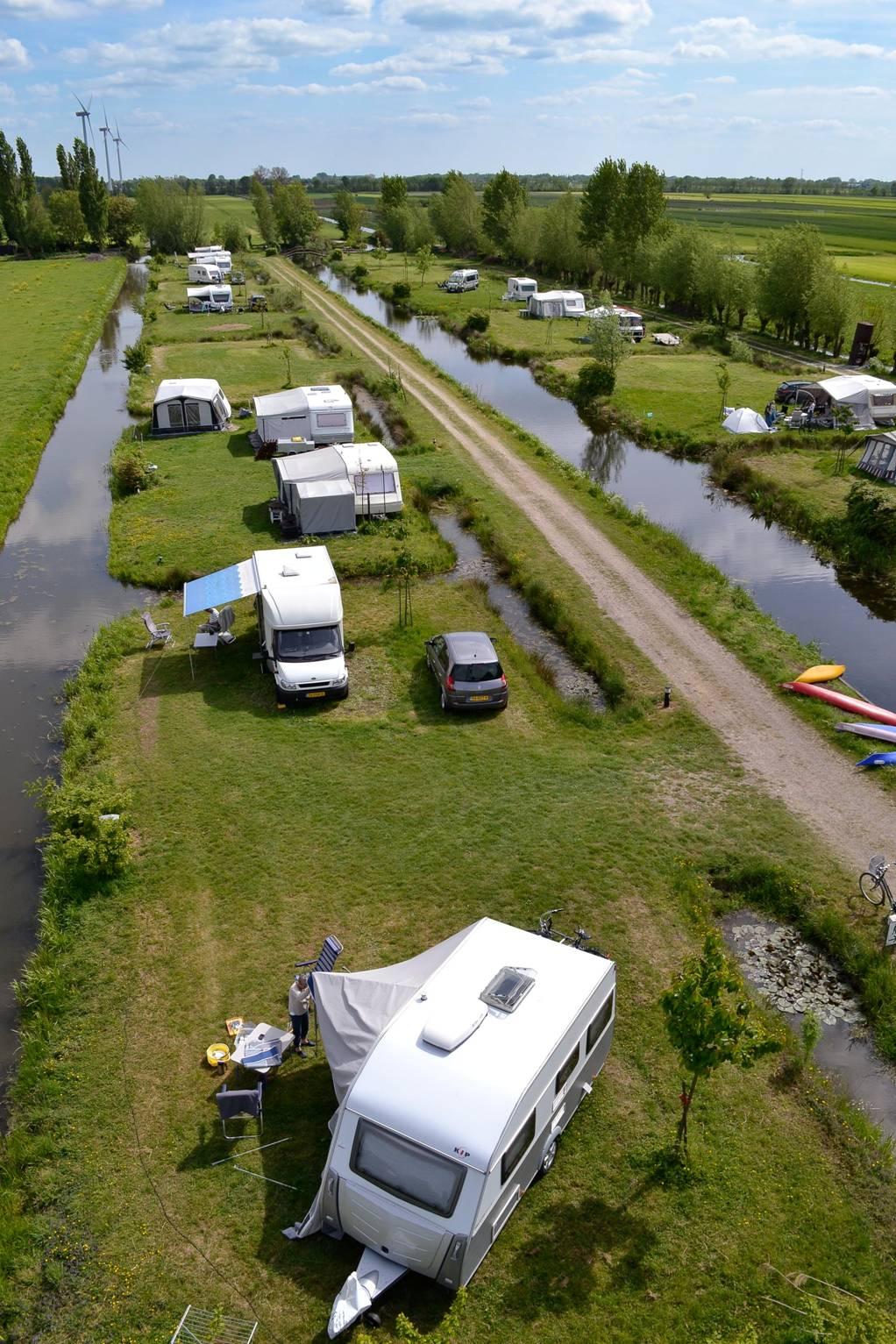 Recreatie Landschap Rosenboom