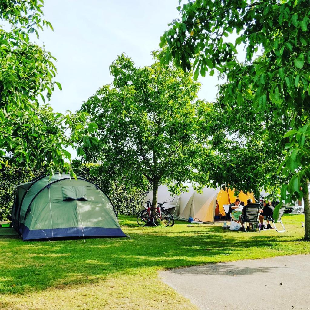 Wijndomein Erve Wisselink