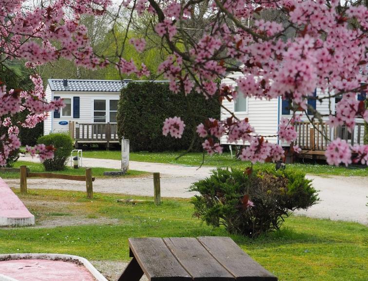 Camping le Moulin