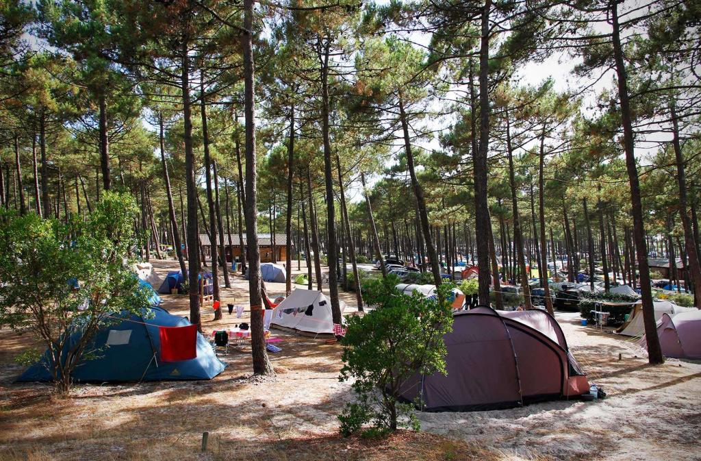 Camping municipal de l’Océan