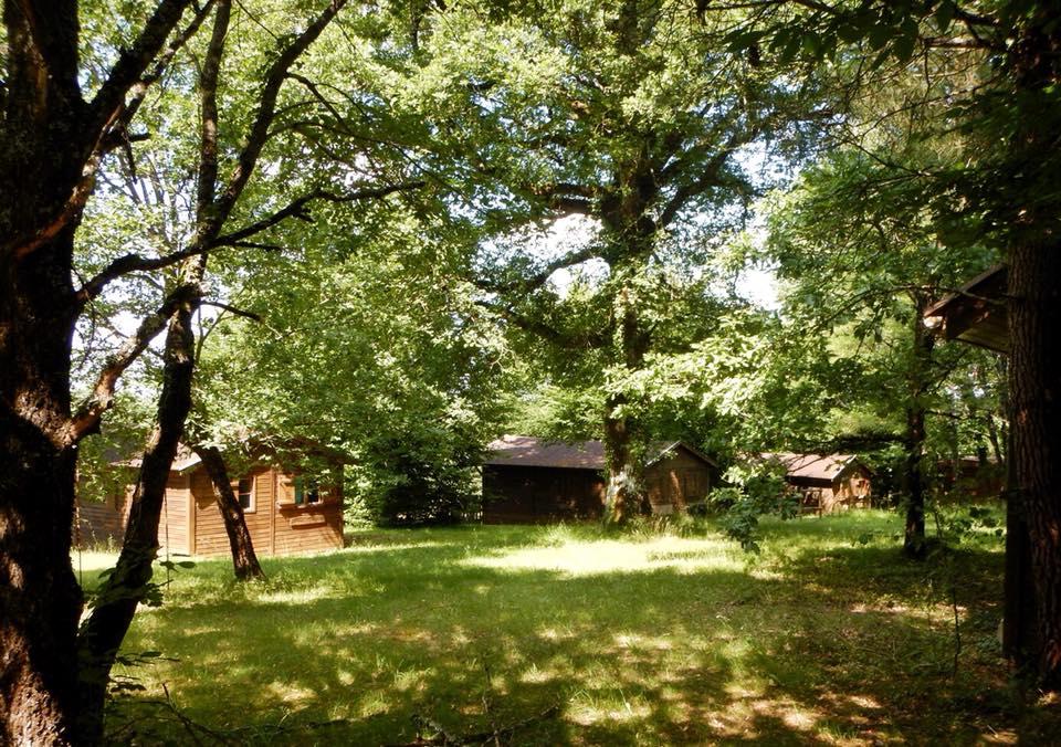 Camping Brin d'Amour