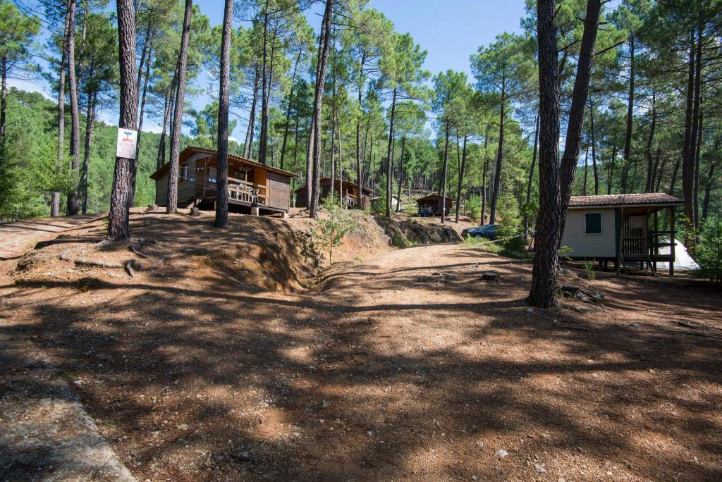 Camping La Forêt