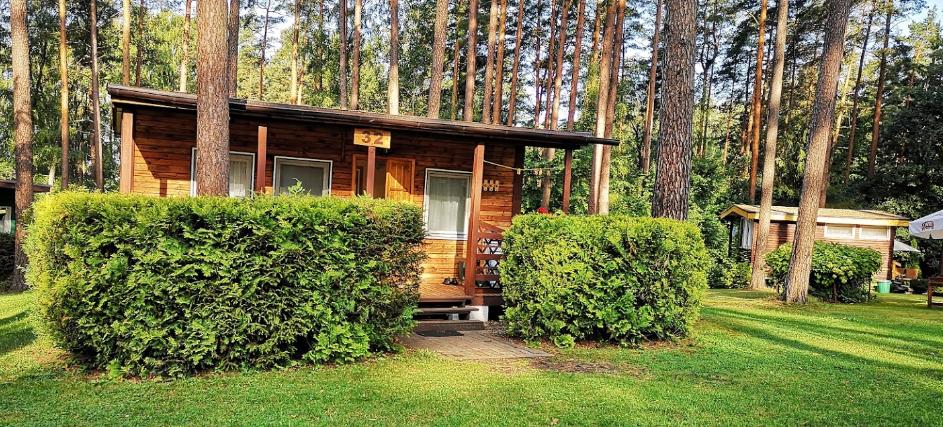 Pole namiotve "Pod Sosnami"