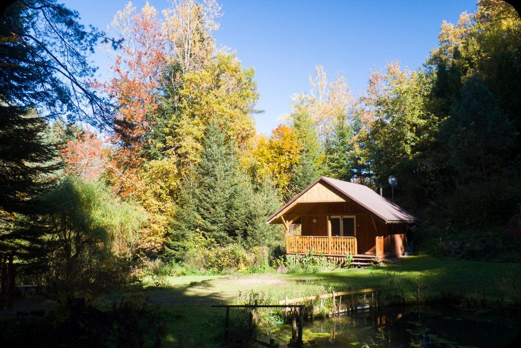 Domek w Bieszczadach