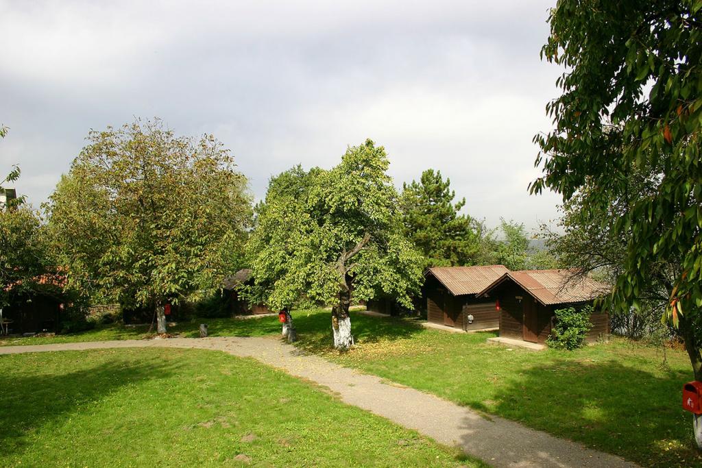 Camp Dunav