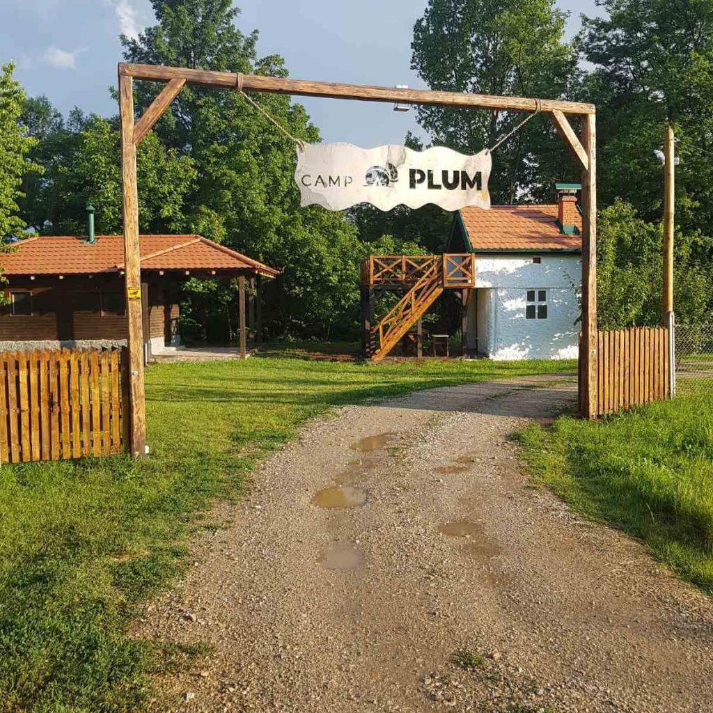 Camp Plum