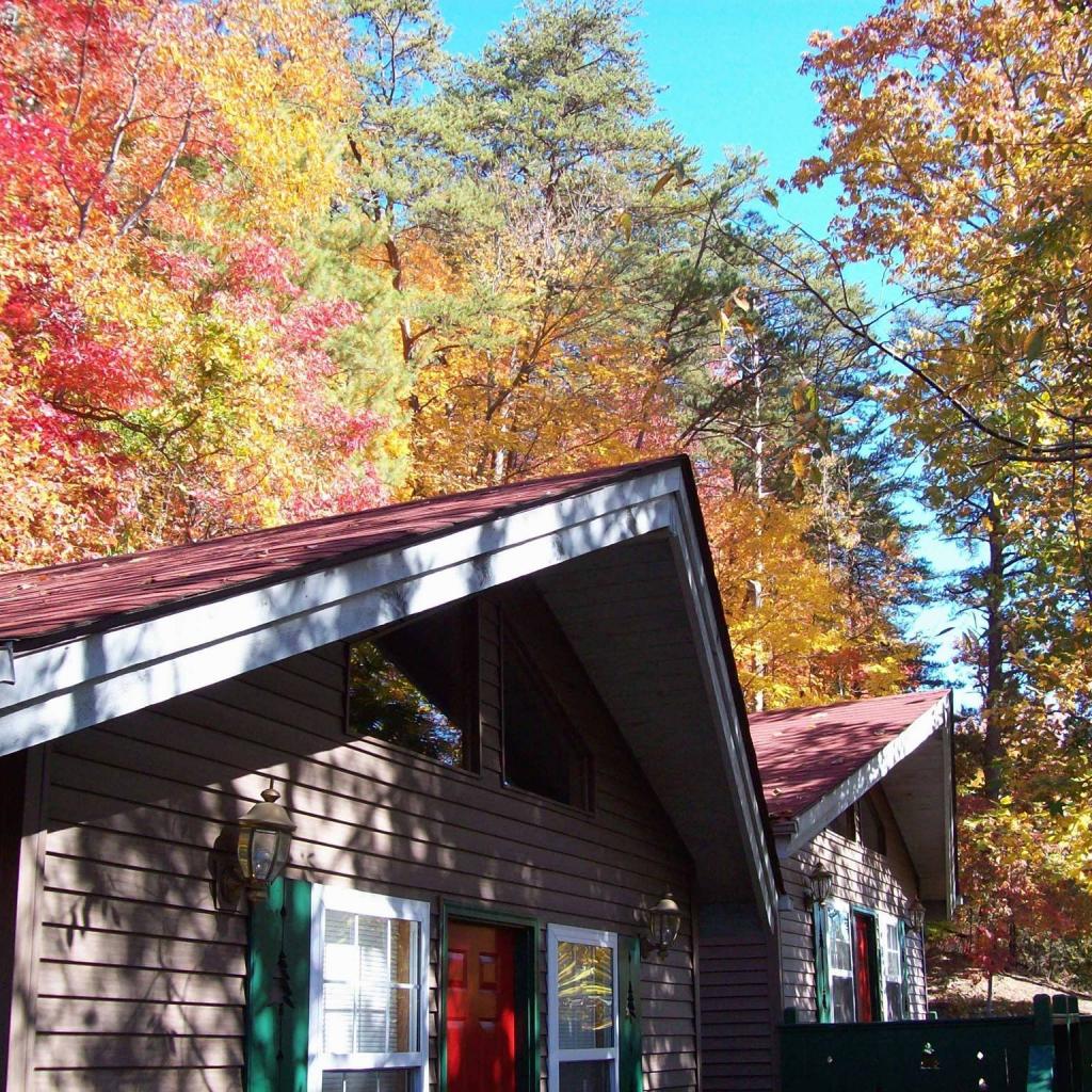 Black Forest Bed & Breakfast