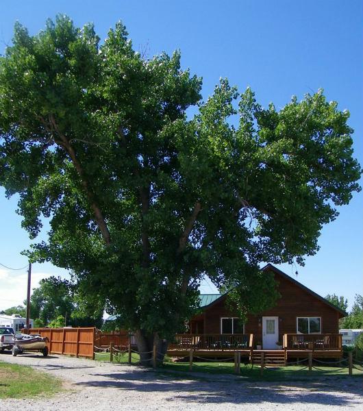 Montana Fly Fishers' Leaning Tree Lodge