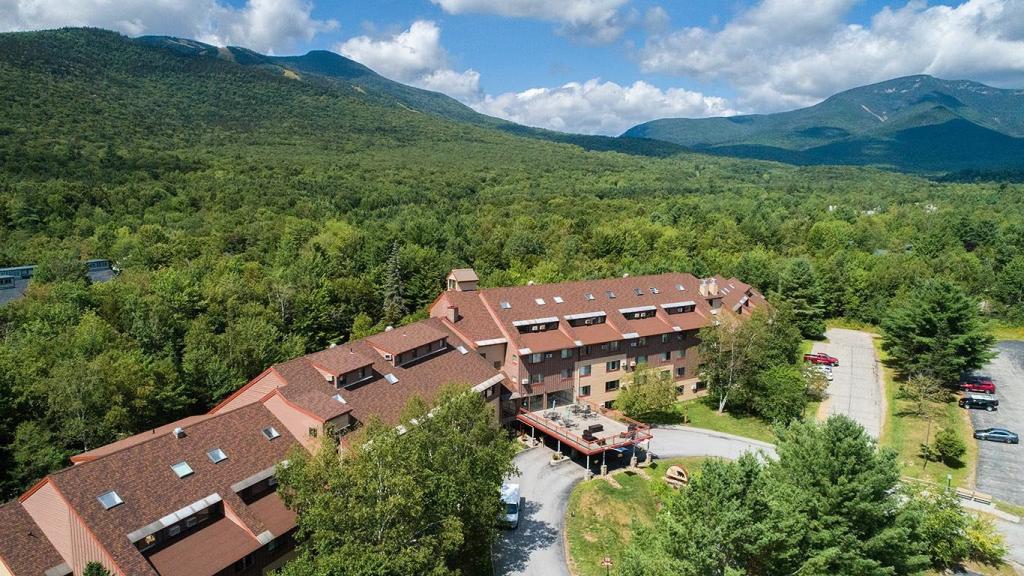 Black Bear Lodge