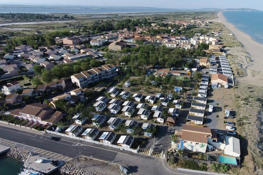 Flower Camping Robinson