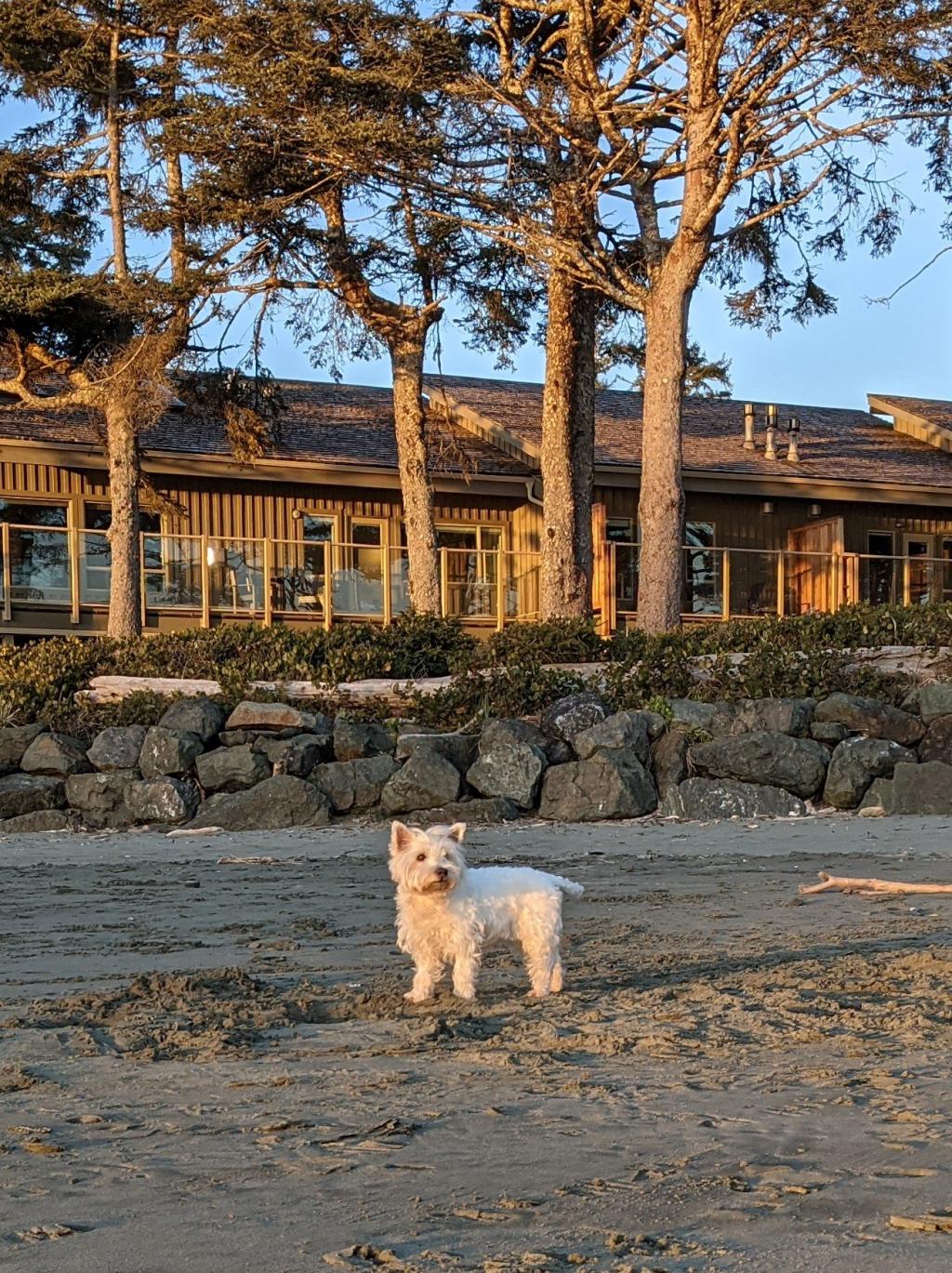 Pacific Sands Beach Resort