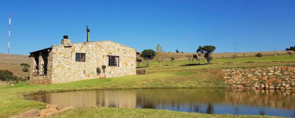 Treeferns Trout Lodge