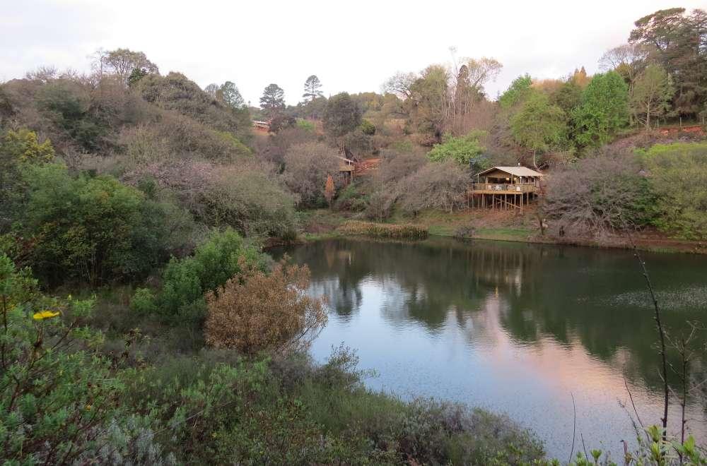 AfriCamps at Magoebaskloof