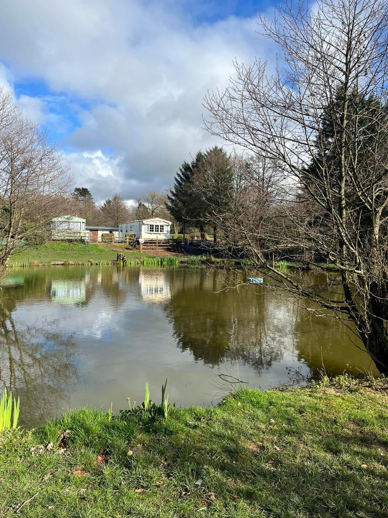 Nine Oaks Fishery