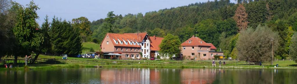 Obermühle Beine